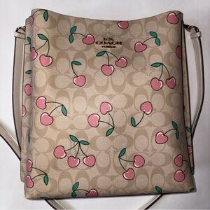 COACH Mollie Large Bucket Bag In Signature Canvas Heart Cherry Print Authentic